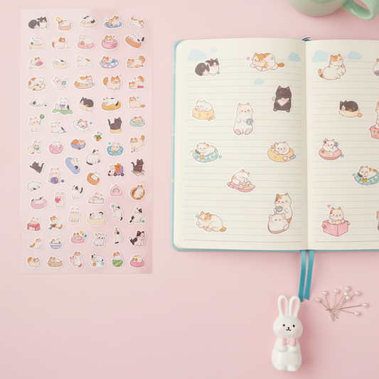 猫猫贴纸生活场景照片